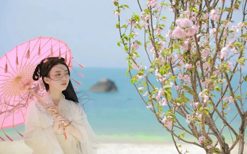 海南粉嫩櫻花季，來享春日限定的浪漫告白！