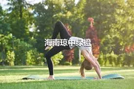 海南瓊中綠橙